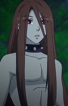Shaodi