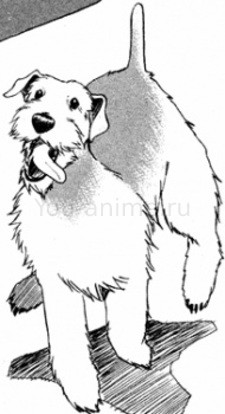 Аска