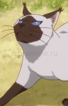 Барни
