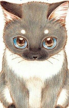 Koyuki