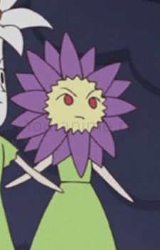 Anemone-san