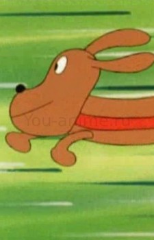 Hot Dog