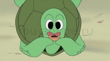 Kamekichi-kun