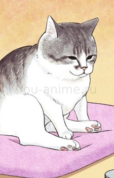 Zun-neesan