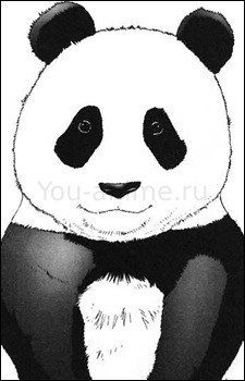 Хой Хой