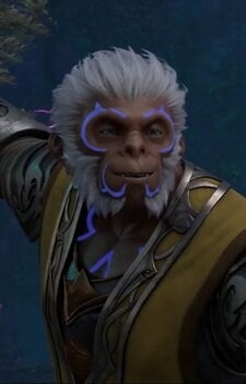 Lei Wu