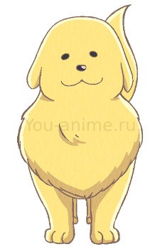 Комати