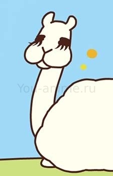 Llama-san