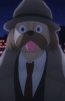 Shizuo