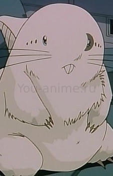 Tsukime