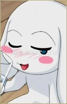 Shirokenhaimu