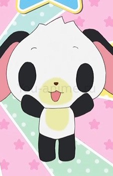 Panda Usa