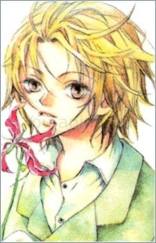Glorious Lily