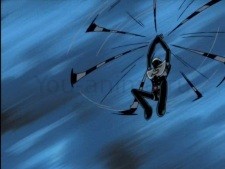 Silver Hakaider