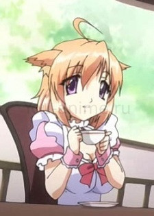 Миа Миямаэ