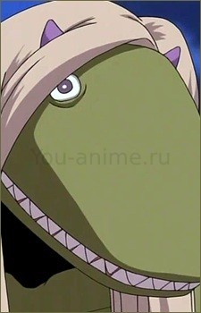 Йоки
