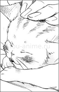 Шима