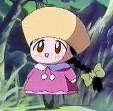 Renkopocchi