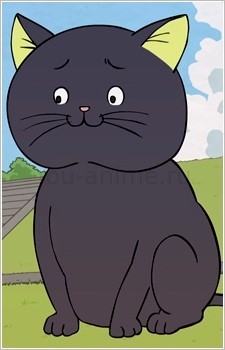 Черный кот