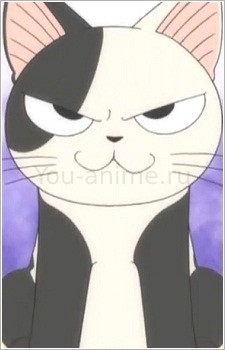 Кочи