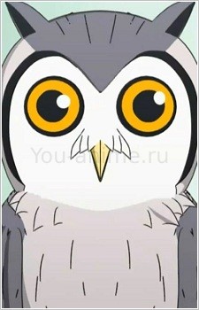 Хоскэ