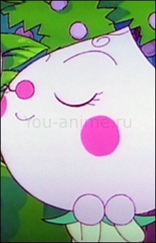 Momoko-chan