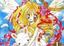 Amane Shiina