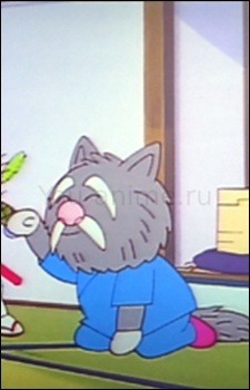 Nekojarashi