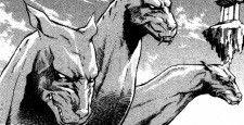 Cerberus
