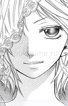 Мише
