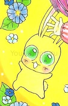 Pachi