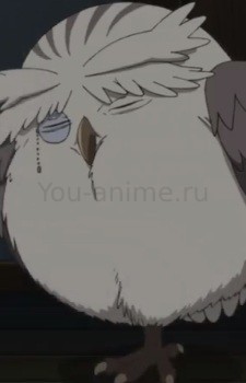 Чокма