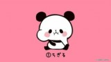 Mochimochi Panda