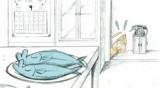 Босоногий кот смотреть аниме онлайн
