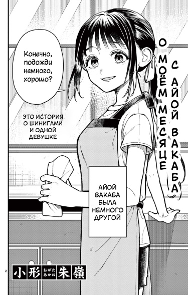 Об 1 месяце, который я провёл с Айой Вакаба