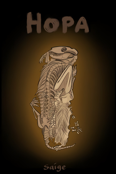 Нора