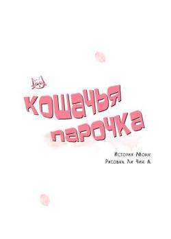 Кошачья парочка