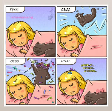 Муж, Жена и Кошка