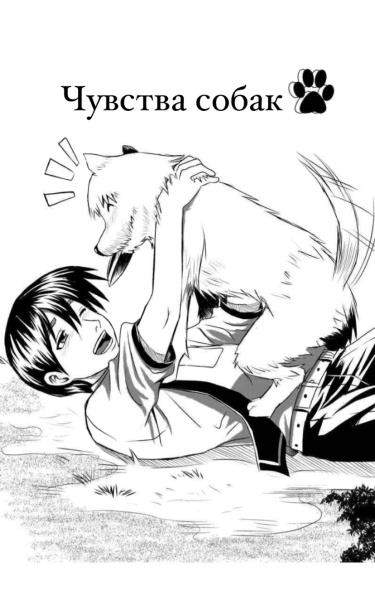 🐾 Чувства собак 🐾