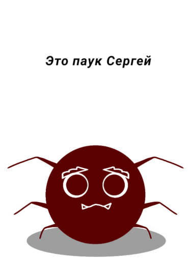 Это паук Сергей