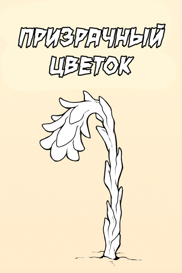 Призрачный цветок