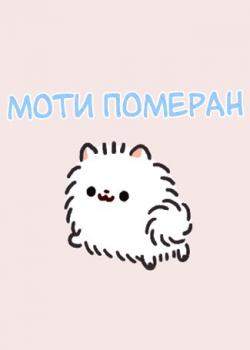 Моти Померан