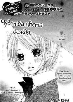 Чувства цвета дождя