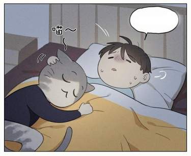 Мой кот немного другой