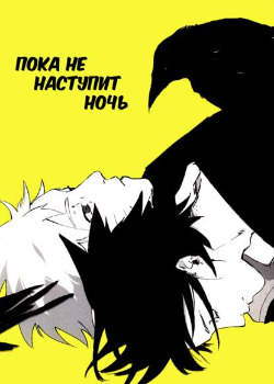 Пока не наступит ночь