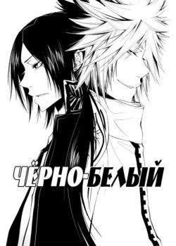 Чёрно-белый
