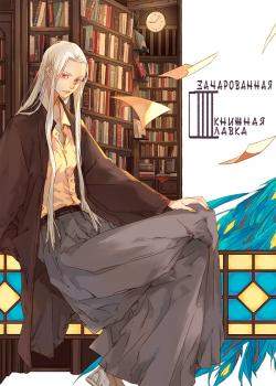 Зачарованная книжная лавка