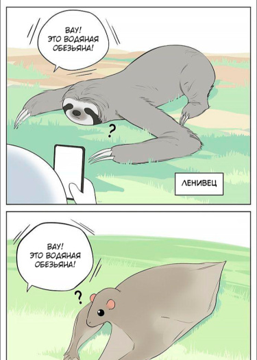 Водяная обезьяна