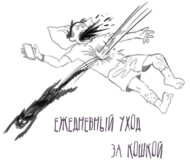 Ежедневный уход за кошкой