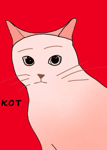Яойный кот